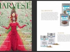 Harvest Spring 2016, TeaTox